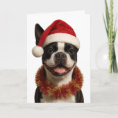 Super cute Boston Terrier Christmas card Kaart (Voorkant)