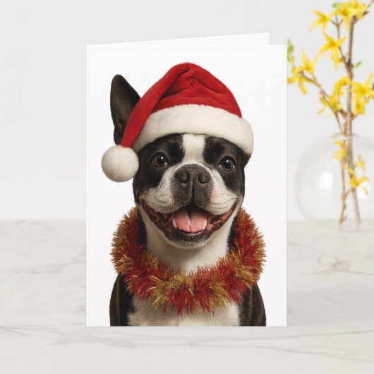Super cute Boston Terrier Christmas card Kaart (Gele Bloem)