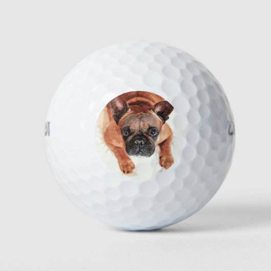 Super Cute Brown French Bulldog Golfballen (Voorkant)