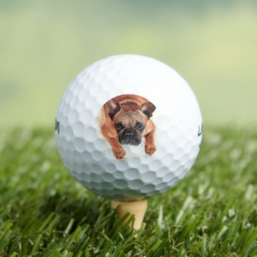 Super Cute Brown French Bulldog Golfballen (Insitu Shirt)