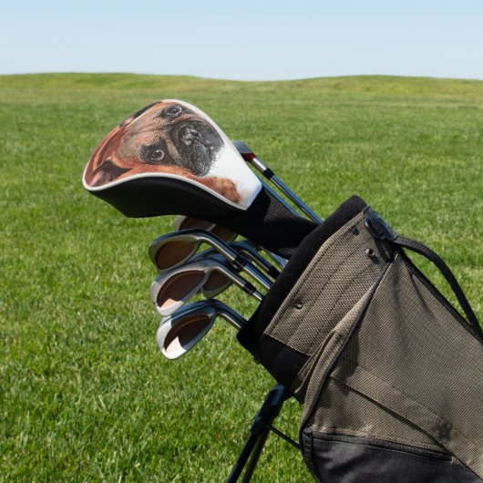 Super Cute Brown French Bulldog Golfheadcover (Insitu)