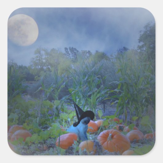 Super Cute Cat Halloween Pumpkin Patch Stickers (Voorkant)