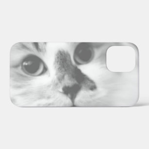 SUPER CUTE Cat Portret Foto iPhone 12 Mini Hoesje