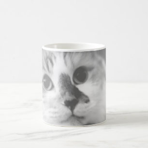SUPER CUTE Cat Portret Foto Koffiemok