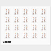 Super Cute Chibi Kitten Stickers Collectie - Pakke (Vel)