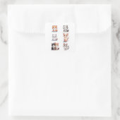 Super Cute Chibi Kitten Stickers Collectie - Pakke (Tas)