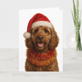Super cute Cockerpoo Christmas card Kaart