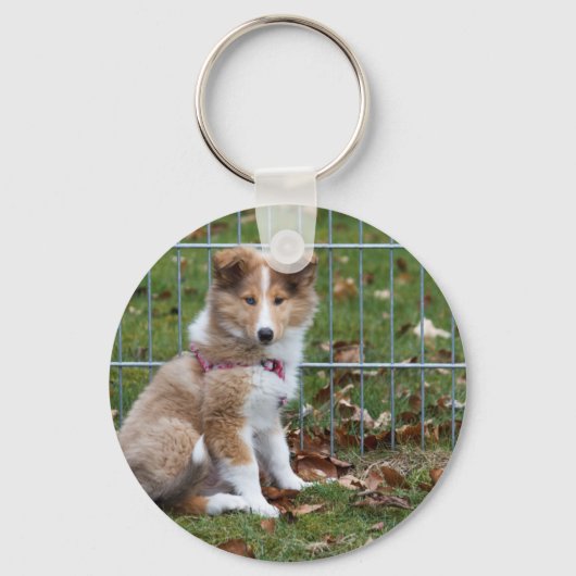 Super Cute Collie Sleutelhanger (Voorkant)