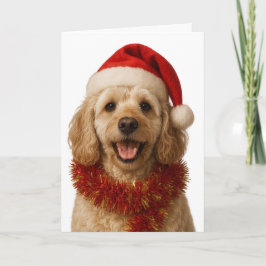 Super cute cream Cockerpoo Christmas card Kaart