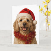 Super cute cream Cockerpoo Christmas card Kaart (Gele Bloem)