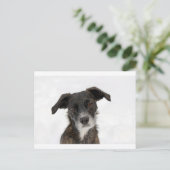 Super Cute Dog in sneeuw. Briefkaart (Staand voorkant)