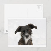 Super Cute Dog in sneeuw. Briefkaart (Voorkant / Achterkant)