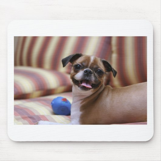 Super Cute dog met haar favoriete bal Muismat (Voorkant)