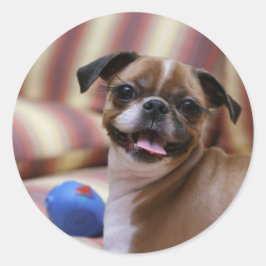 Super Cute dog met haar favoriete bal Ronde Sticker