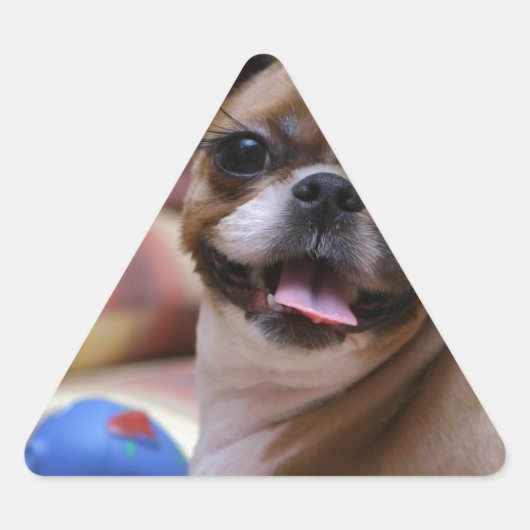 Super Cute dog met haar favoriete bal Sticker (Voorkant)