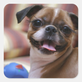 Super Cute dog met haar favoriete bal Vierkante Sticker