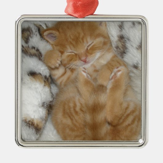 Super Cute Ginger Sleeping Kitten Metalen Ornament (Voorkant)