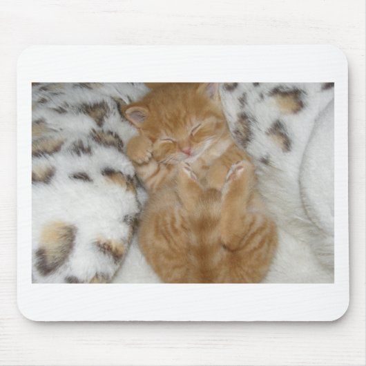 Super Cute Ginger Sleeping Kitten Muismat (Voorkant)