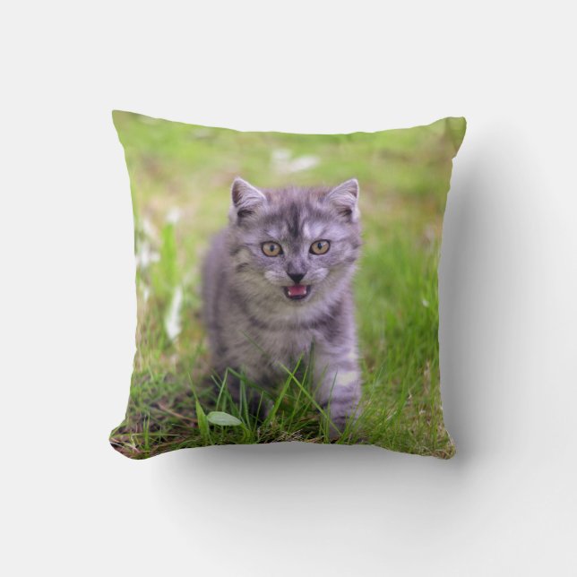 Super Cute Gray Kitten - Foto-ontwerp Kussen (Voorkant)