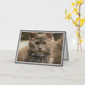 Super Cute Gray Kitten Funny Birthday Kaart (Gele Bloem)