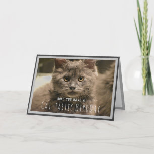 Super Cute Grijze Kitten Grappige Verjaardagskaart Kaart