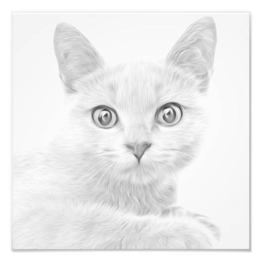 SUPER CUTE Kat Portret Foto Afdruk (Voorkant)