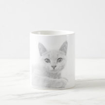 SUPER CUTE Kat Portret Foto