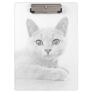 SUPER CUTE Kitten Cat Portret Klembord