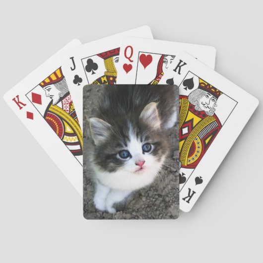 SUPER CUTE Kitten Pokerkaarten (Achterkant)