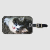 SUPER CUTE Kitten Portret Bagagelabel (Voorkant (horizontaal))