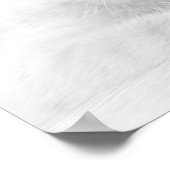 SUPER CUTE Kitten Portret Foto Poster (Hoek)