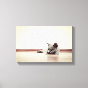 SUPER CUTE Kitten Portret -  stijl Canvas Afdruk
