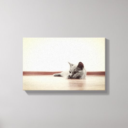 SUPER CUTE Kitten Portret -  stijl Canvas Afdruk (Voorkant)