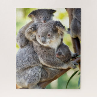 Super Cute Koala Wildlife Family Group Legpuzzel