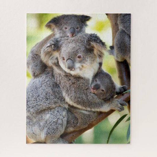 Super Cute Koala Wildlife Family Group Legpuzzel (Verticaal)