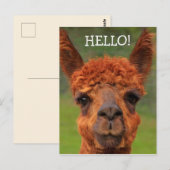 Super Cute Llama Hallo Briefkaart (Voorkant / Achterkant)