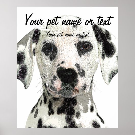 Super Cute, Puppy Dalmatian Dog Poster (Voorkant)