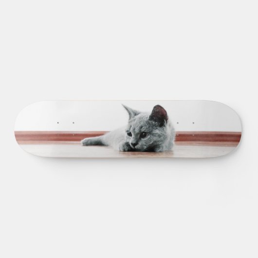 Super Cute Scottish Fold Kitten Cat Skateboard (Horizontaal)