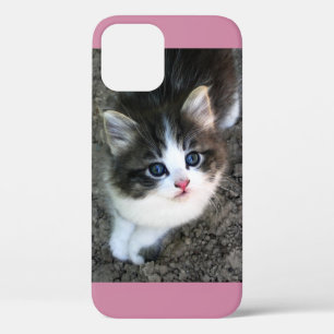 SUPER CUTE Stray Kitten iPhone 12 Hoesje