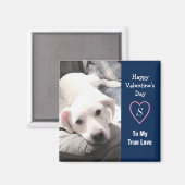 Super Cute Valentijnsdag Navy Blue Dog Magneet (Voorkant / Achterkant)