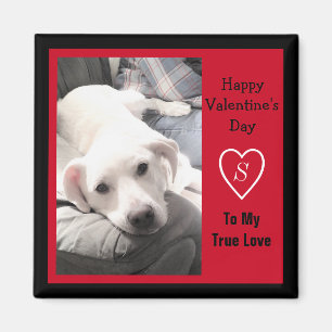 Super Cute Valentijnsdag Red en Black Dog Magneet