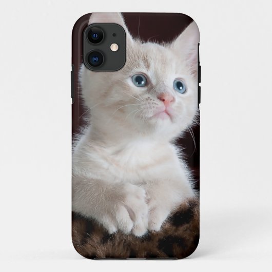 Super Cute White Kitten Case-Mate iPhone Case (Achterkant)