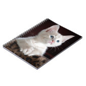 Super Cute White Kitten Notitieboek (Linkerzijde)