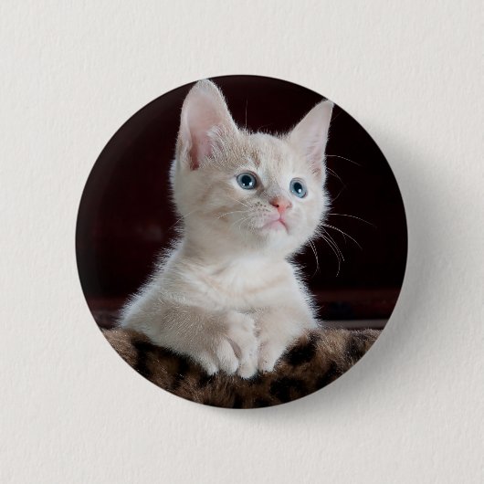 Super Cute White Kitten Ronde Button 5,7 Cm (Voorkant)