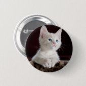 Super Cute White Kitten Ronde Button 5,7 Cm (Voorkant /achterkant)
