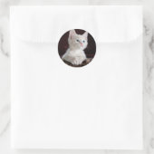 Super Cute White Kitten Ronde Sticker (Tas)