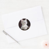 Super Cute White Kitten Ronde Sticker (Envelop)