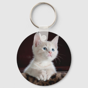 Super Cute White Kitten Sleutelhanger