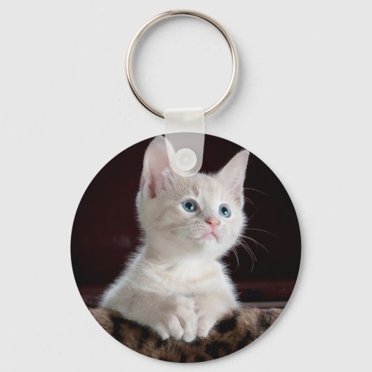 Super Cute White Kitten Sleutelhanger (Voorkant)