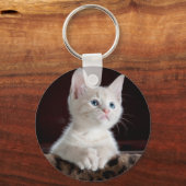Super Cute White Kitten Sleutelhanger (Voorkant)